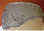 Funerary stele