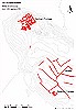Map of excavated Hittite period buildings - K. A. Yener & M. Akar, 2013