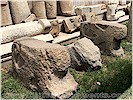 Sphinxes and a lion head fragment, Niğde Museum - T. Bilgin, 2017