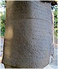 Phoenician inscription - T. Bilgin, 2009